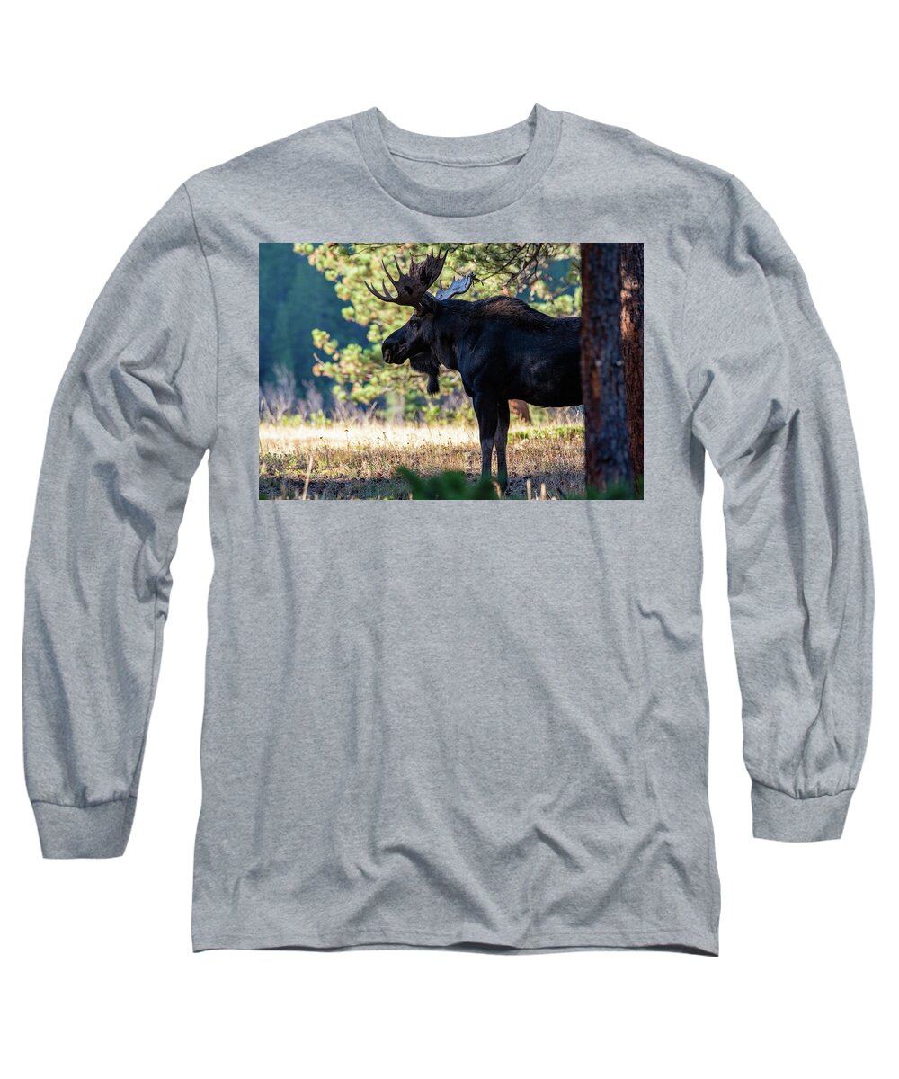 Moose Long Sleeve T-Shirt featuring the photograph Chocolate Moose by Darlene Bushue