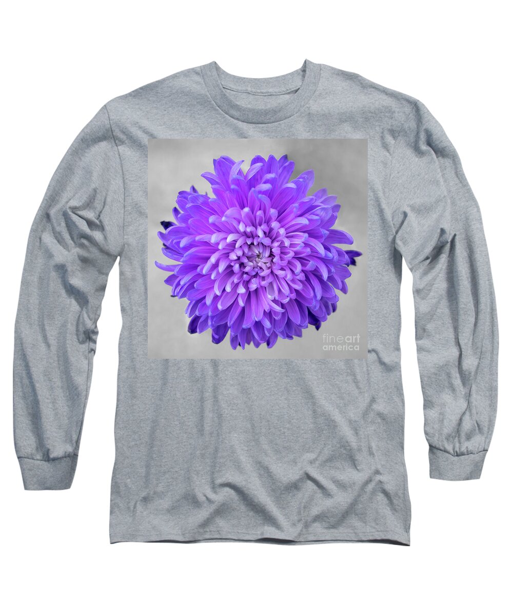 Floral Long Sleeve T-Shirt featuring the photograph Chrysanthemum Flower Joy-Purple by Renee Spade Photography
