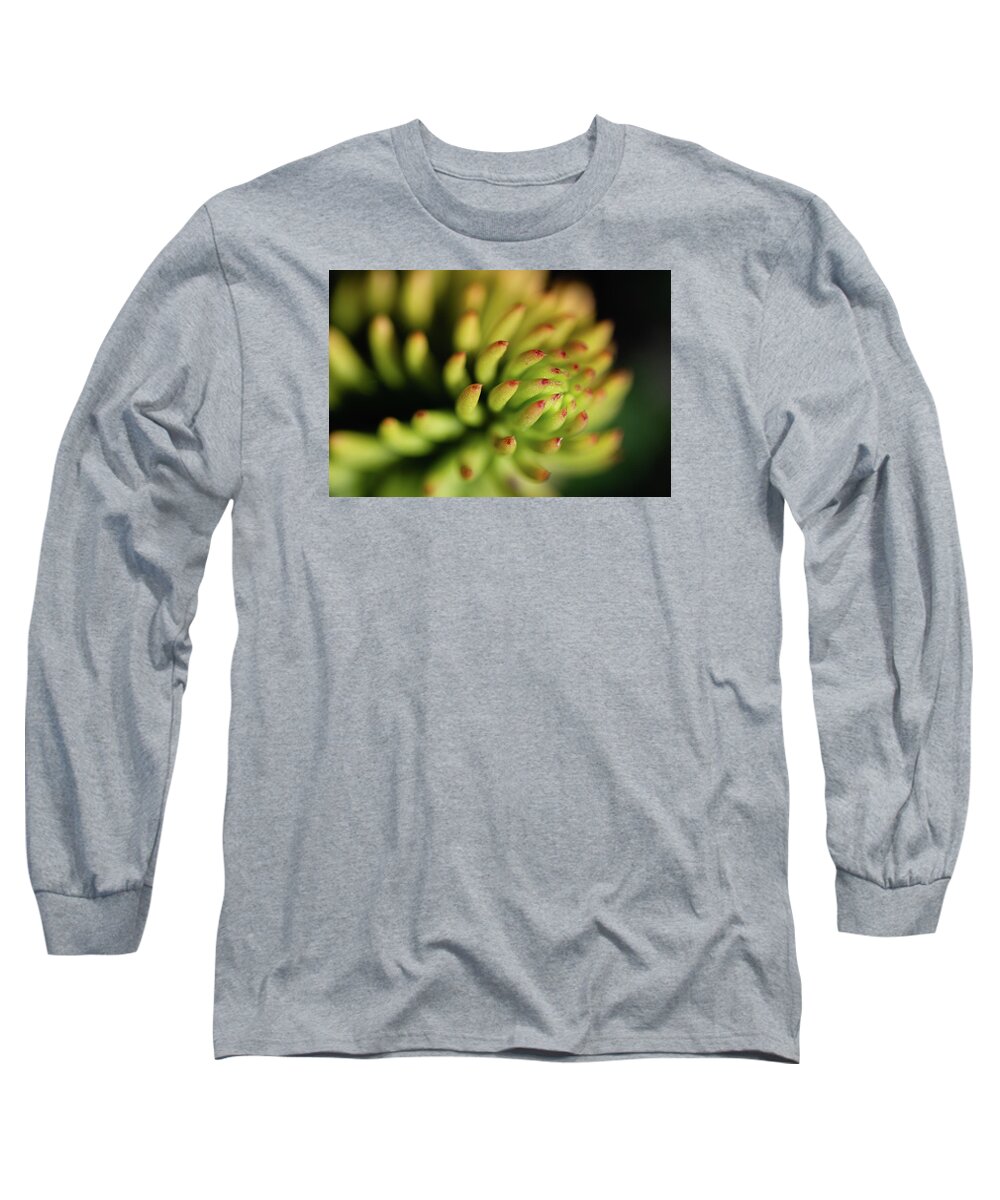 Macro Long Sleeve T-Shirt featuring the photograph Close-up Beauty of Nature by Martin Vorel Minimalist Photography