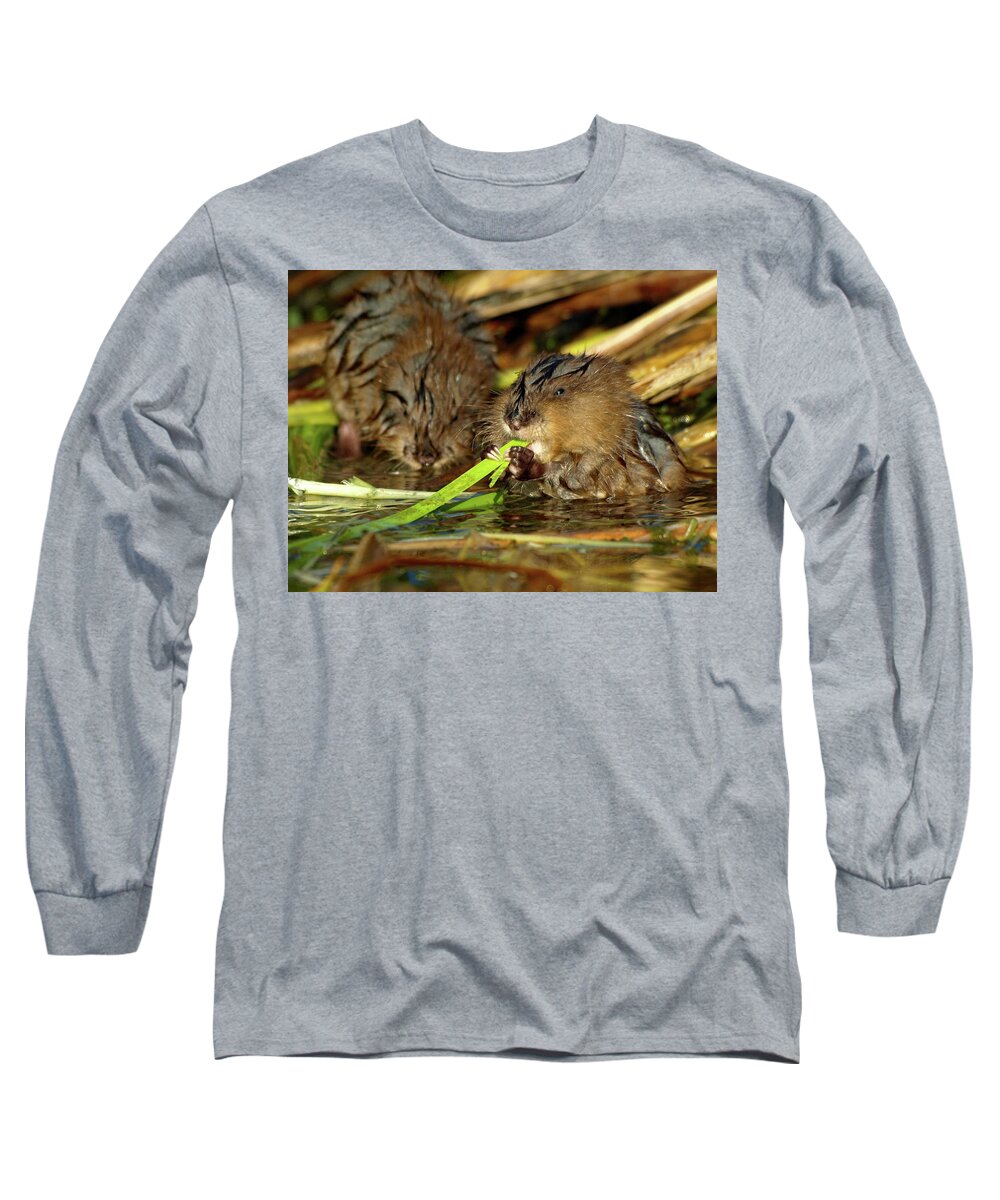 Peterson Long Sleeve T-Shirt featuring the photograph Cutest Water Rats by James Peterson