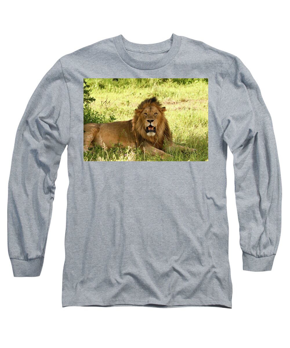 Wild Plains Long Sleeve T-Shirt featuring the photograph Dark Mane In Gold Plains by Moodie Shots