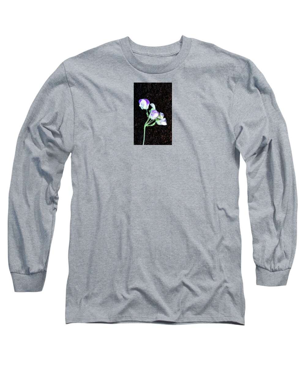 Flower Long Sleeve T-Shirt featuring the photograph Delicate Flowers of the Green Bean Plant by Corinne Carroll