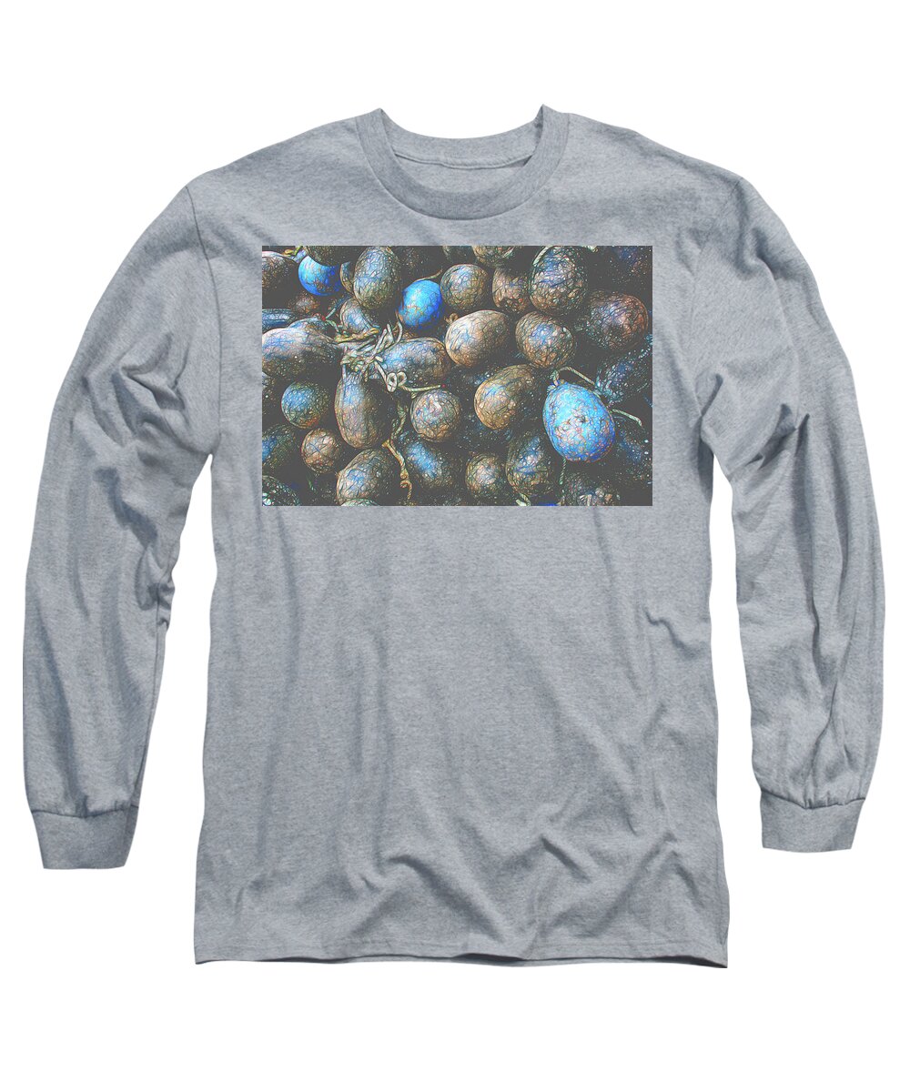 Seaside Long Sleeve T-Shirt featuring the photograph Designs on Aquaculture by Douglas Wielfaert