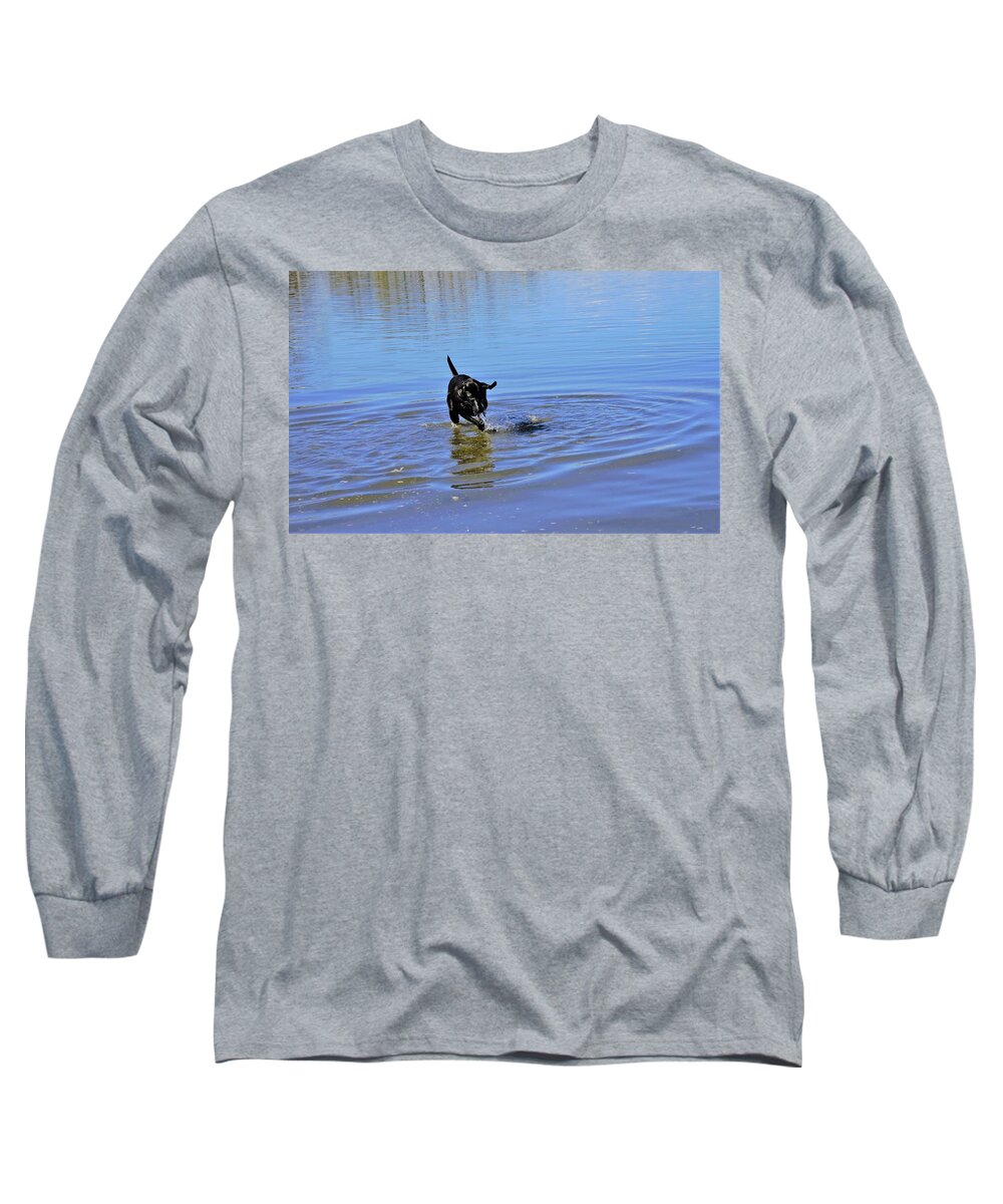 Lab Long Sleeve T-Shirt featuring the photograph Dog Days of Summer by James Cousineau