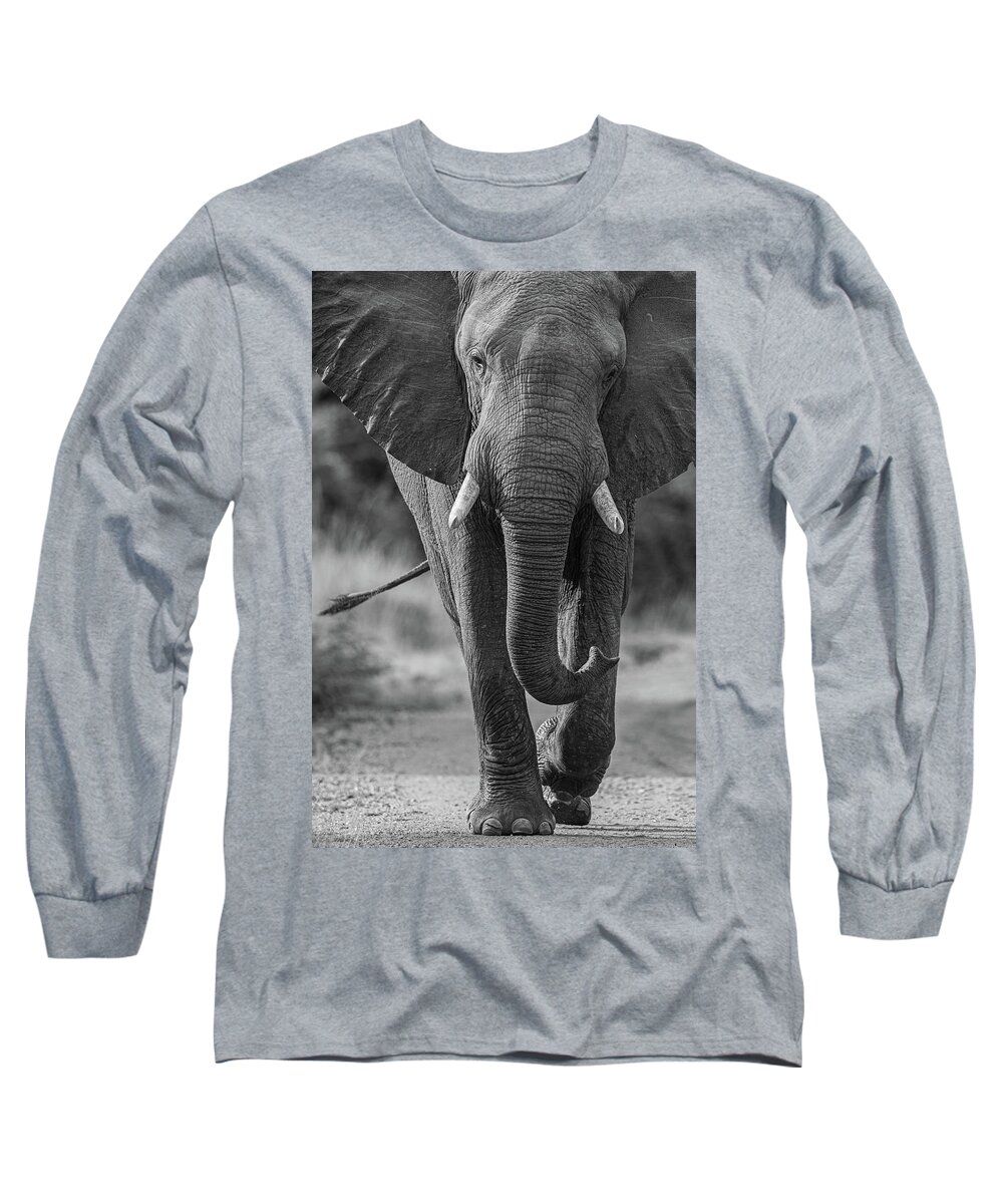 Africa Long Sleeve T-Shirt featuring the photograph Elephant in black and white by Johan Elzenga