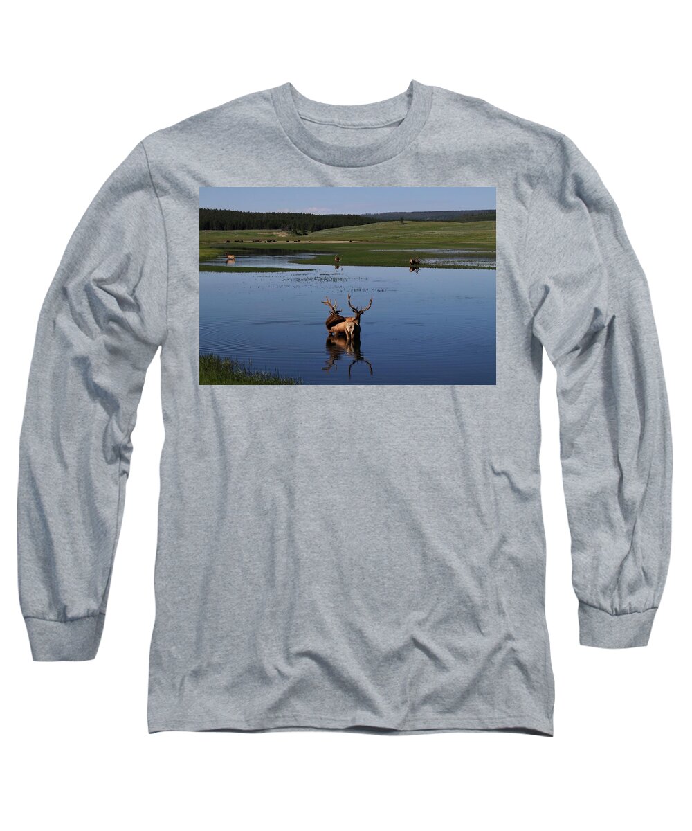 Elk Long Sleeve T-Shirt featuring the photograph Elk and Bison at the lake. by Yvonne M Smith