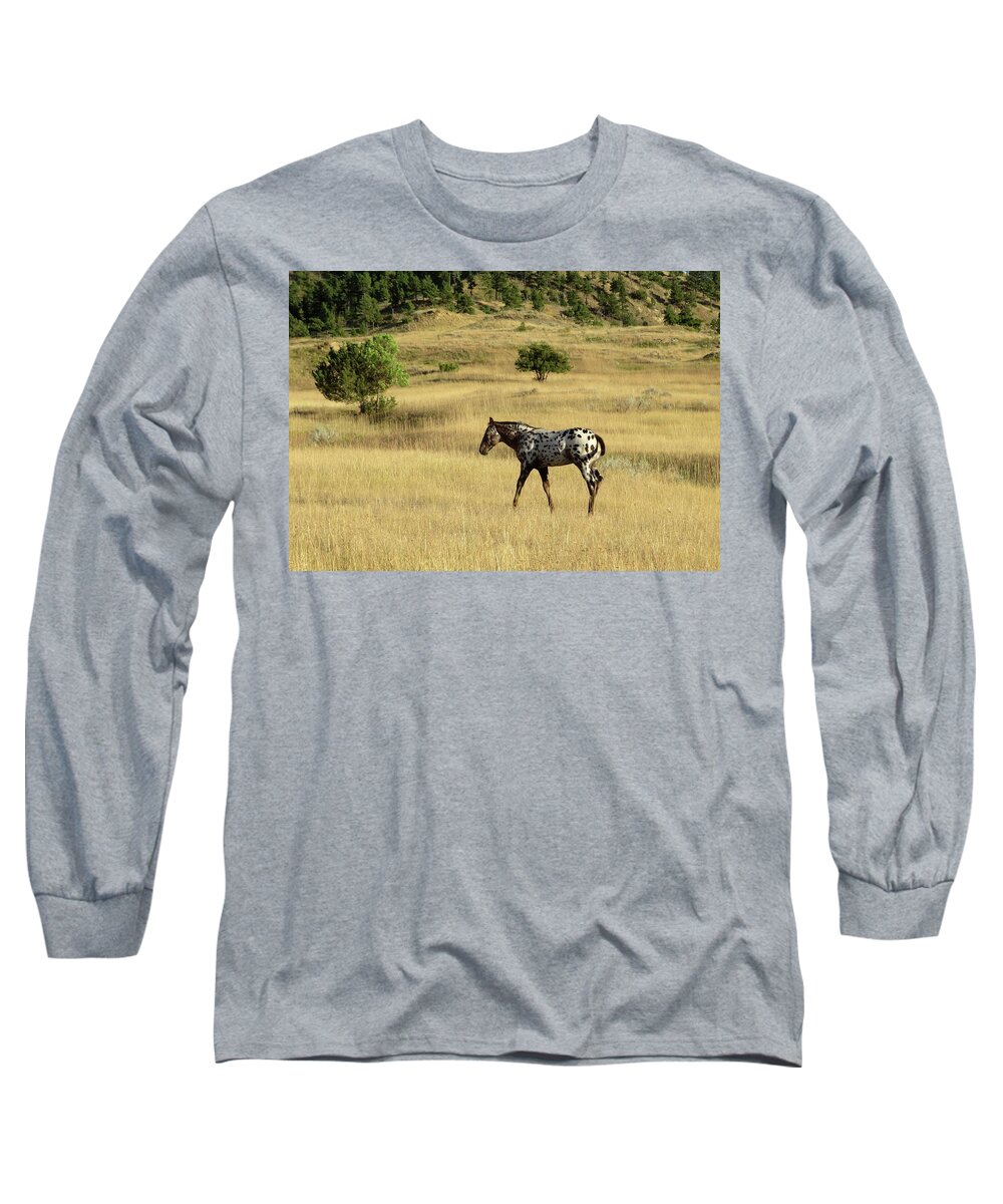 Appaloosa Long Sleeve T-Shirt featuring the photograph End of Summer by Katie Keenan