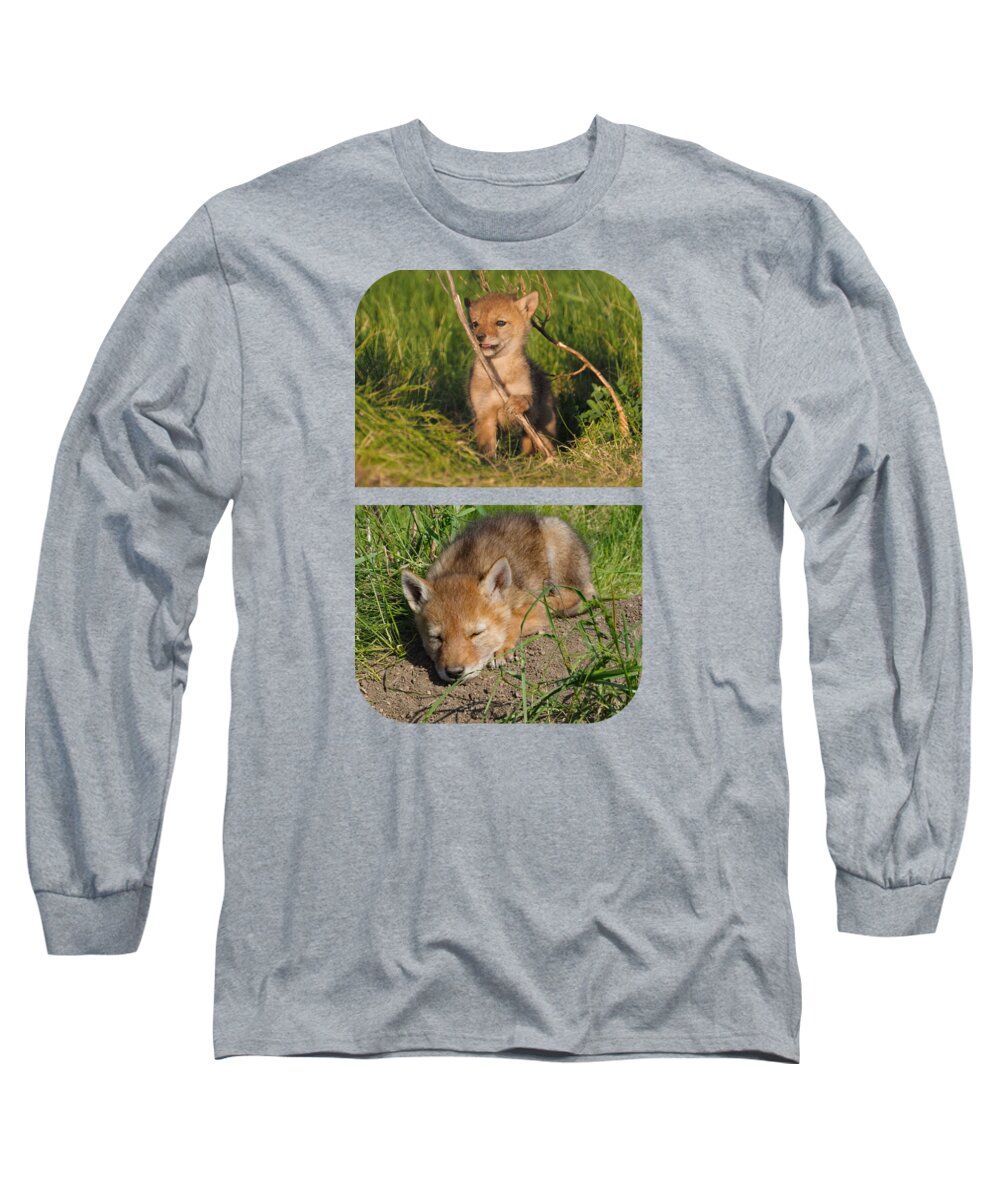 Exploring Long Sleeve T-Shirt featuring the photograph Exploring the Outside World by James Peterson