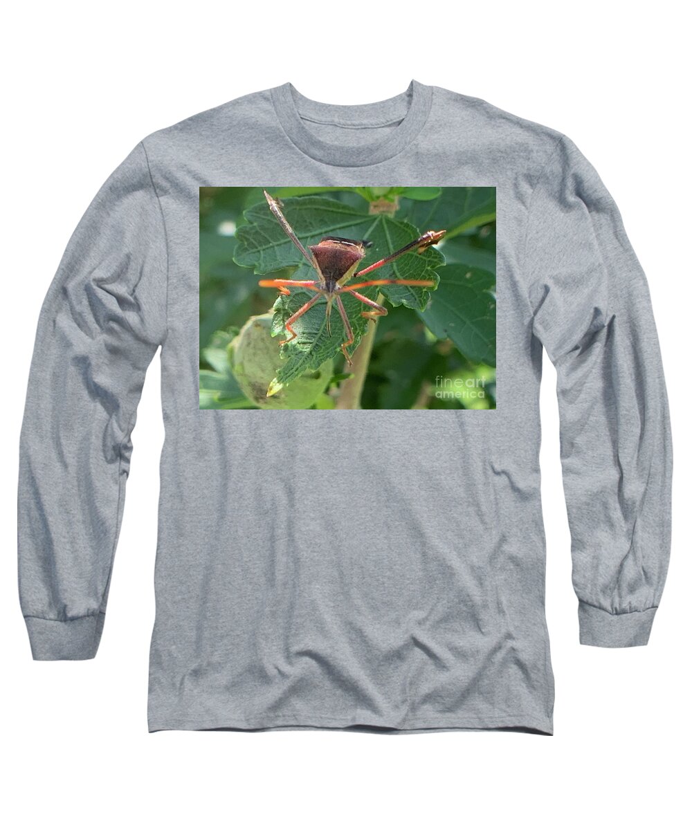 Leaf Footed Bug Long Sleeve T-Shirt featuring the photograph Face me by Catherine Wilson