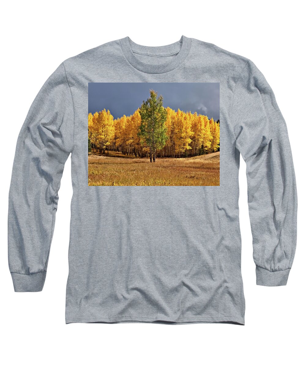 Fall Colors Long Sleeve T-Shirt featuring the photograph Fall Green and Gold by Bob Falcone