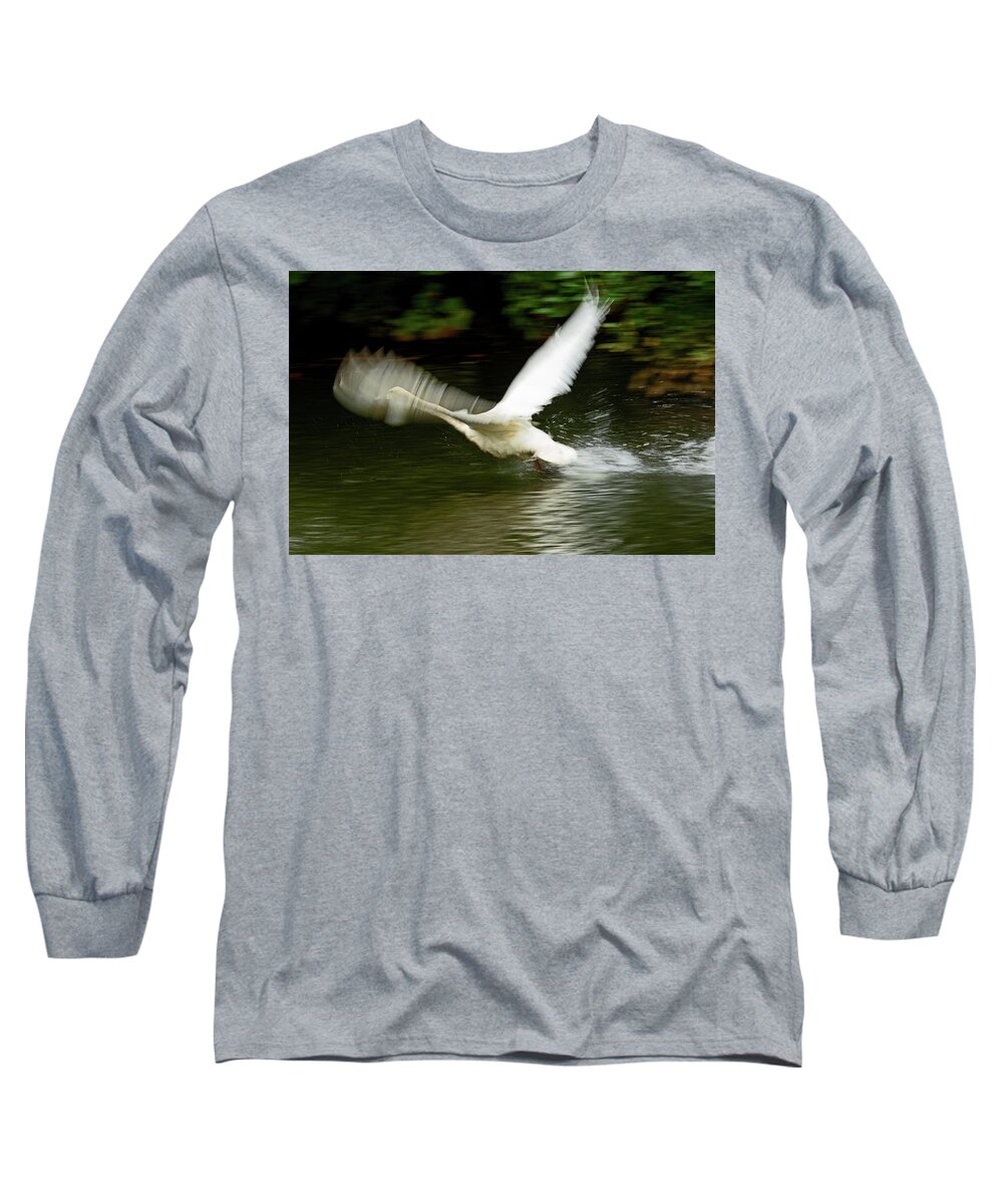 Trumpeter Swan Long Sleeve T-Shirt featuring the photograph Feathered Illusion by Gina Fitzhugh