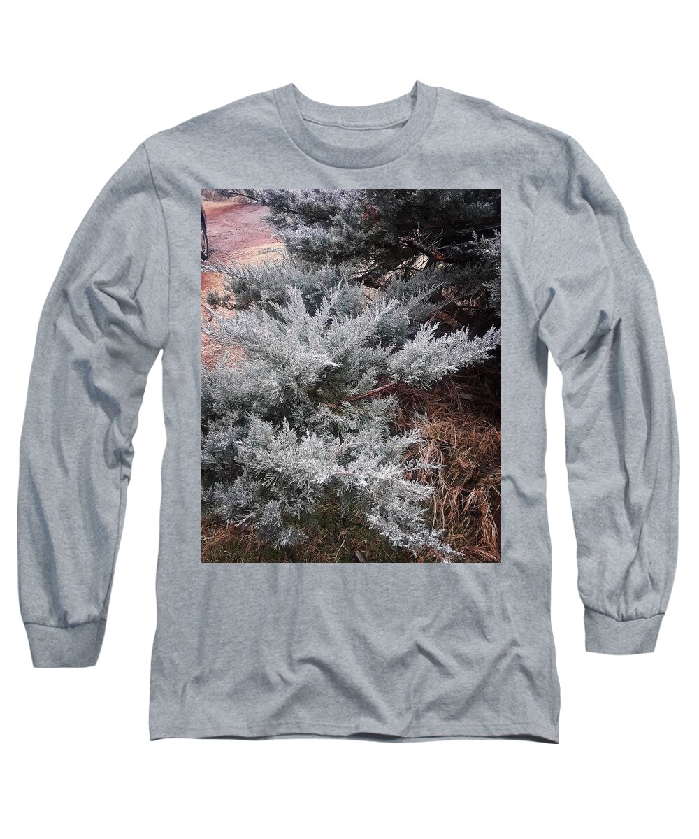 Scenery Long Sleeve T-Shirt featuring the photograph First Frost by Ariana Torralba