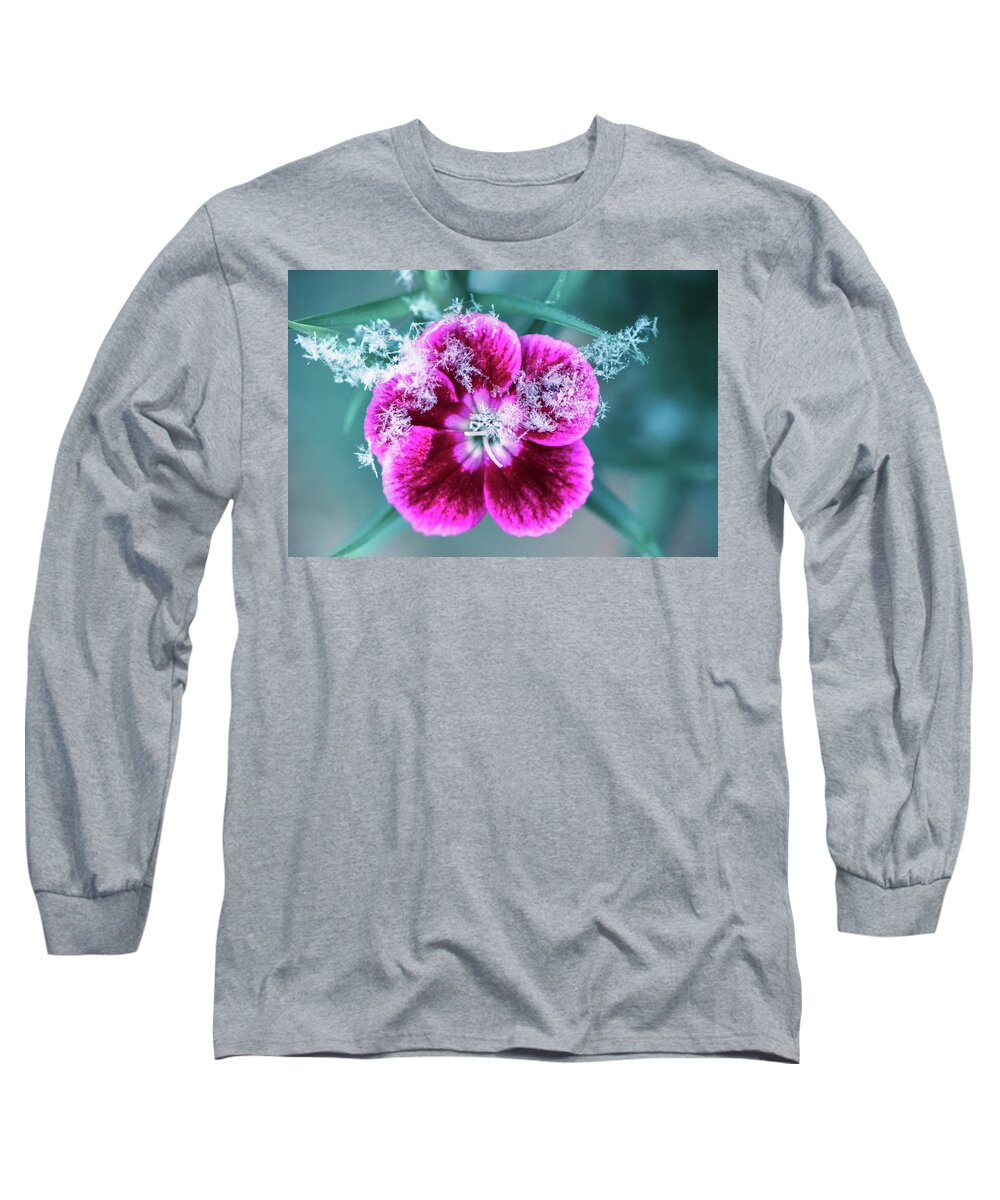 Snow Long Sleeve T-Shirt featuring the photograph First snow of the year by Naomi Maya