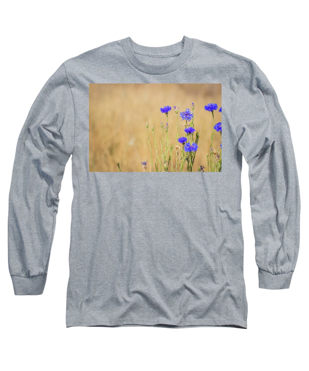 Flowers Blue Flowers Blossoms Bouquet Bachelor Buttons Wildflowers Nature Floral Bunch Of Flowers Plants Fragrance Blooms Flowering Blossoming Flourishes Long Sleeve T-Shirt featuring the photograph Florescence by Laura Putman