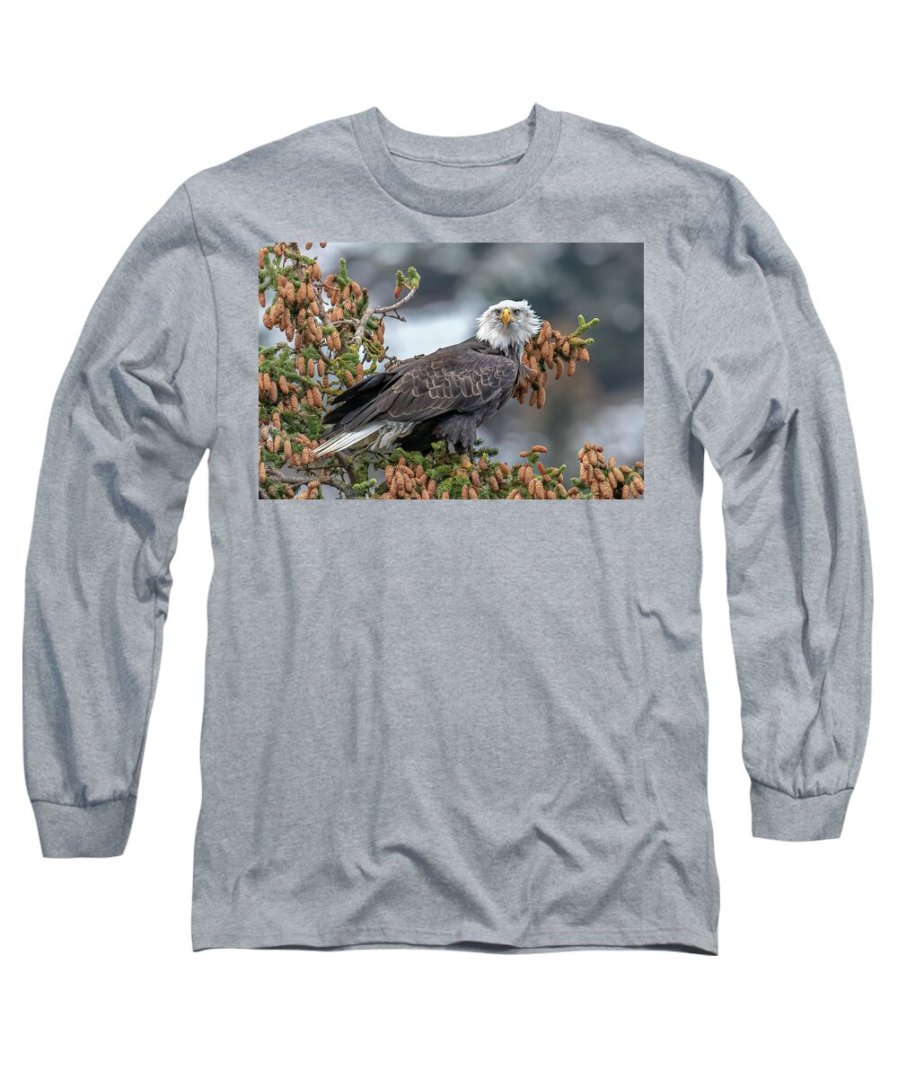 Alaska Long Sleeve T-Shirt featuring the photograph Focused by James Capo