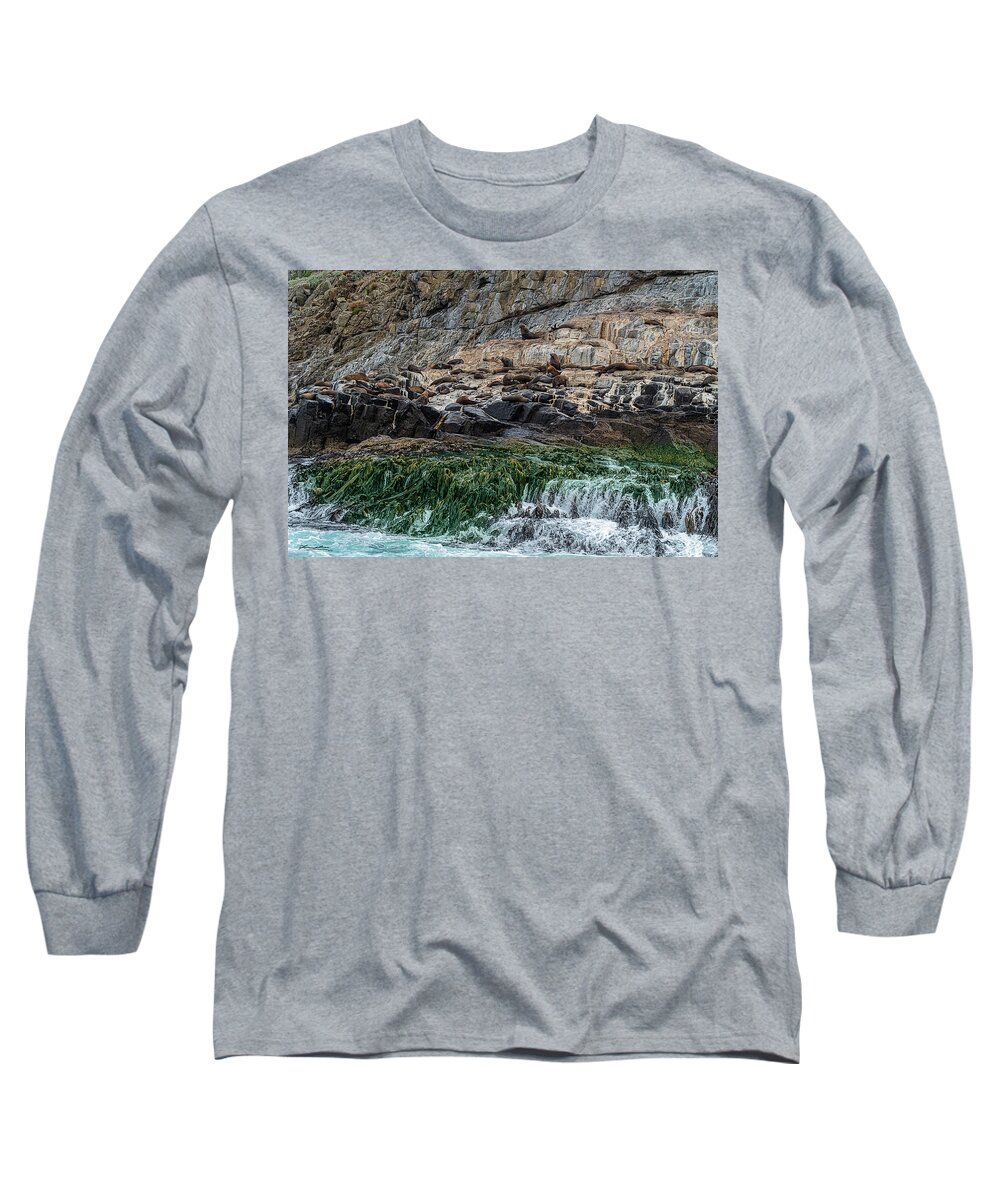 Australia Long Sleeve T-Shirt featuring the photograph Fur Seals on The Friars, Bruny Island, Tasmania, Australia by Frank Lee