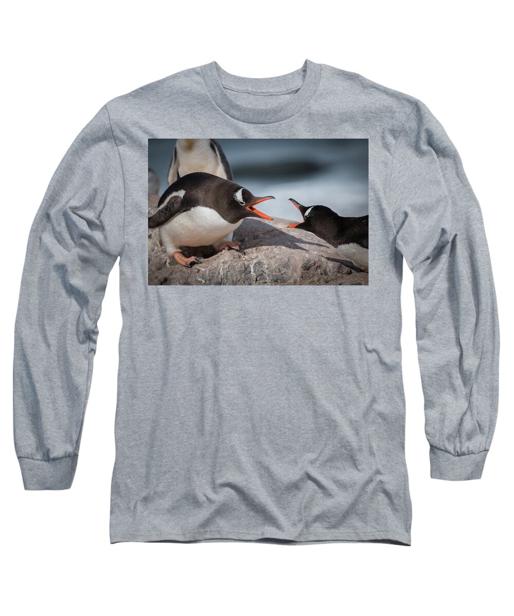 Penguin Long Sleeve T-Shirt featuring the photograph Gentoo Disagreement by Linda Villers