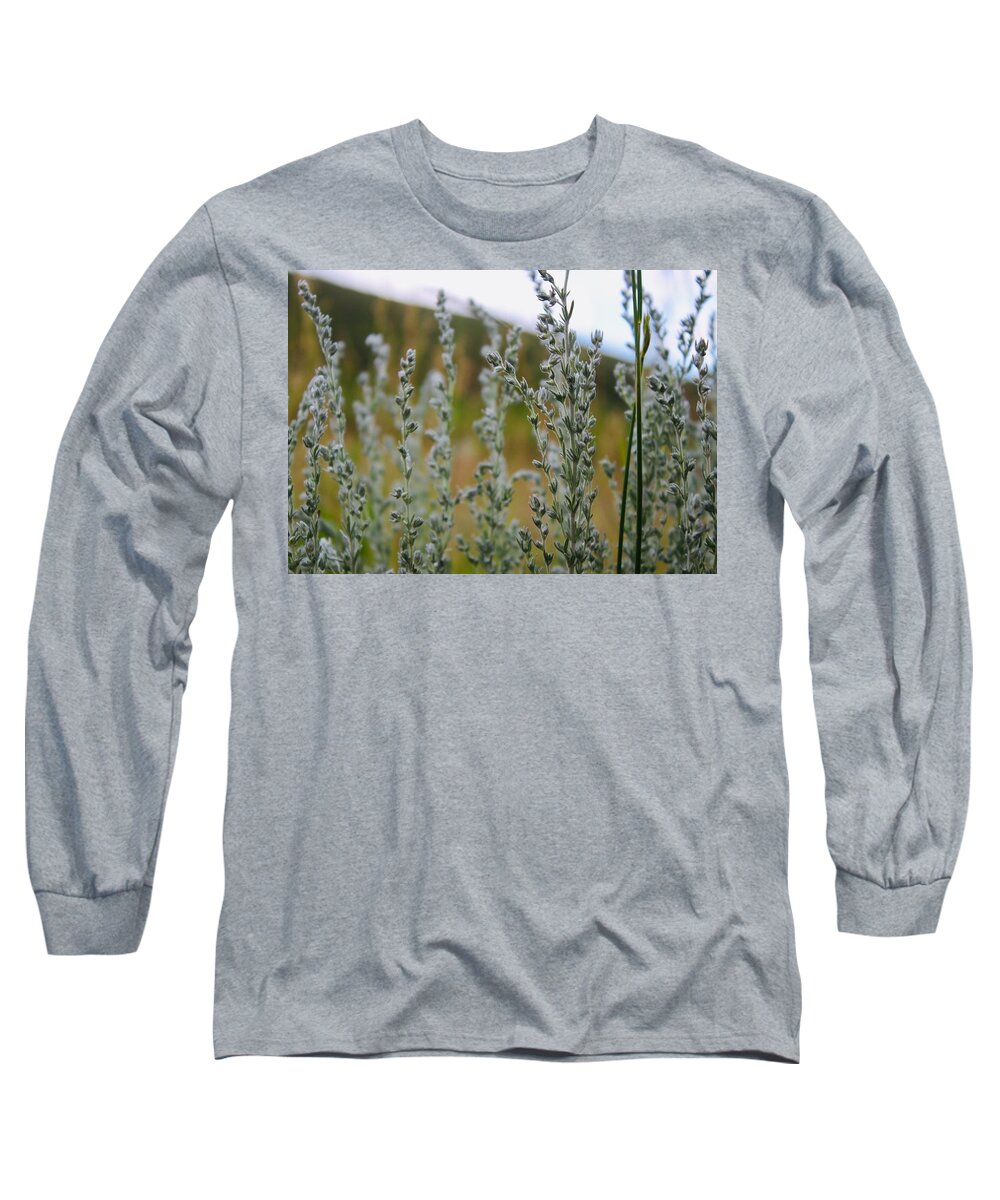 Plants Long Sleeve T-Shirt featuring the photograph Glimmering Greens by Yvonne M Smith