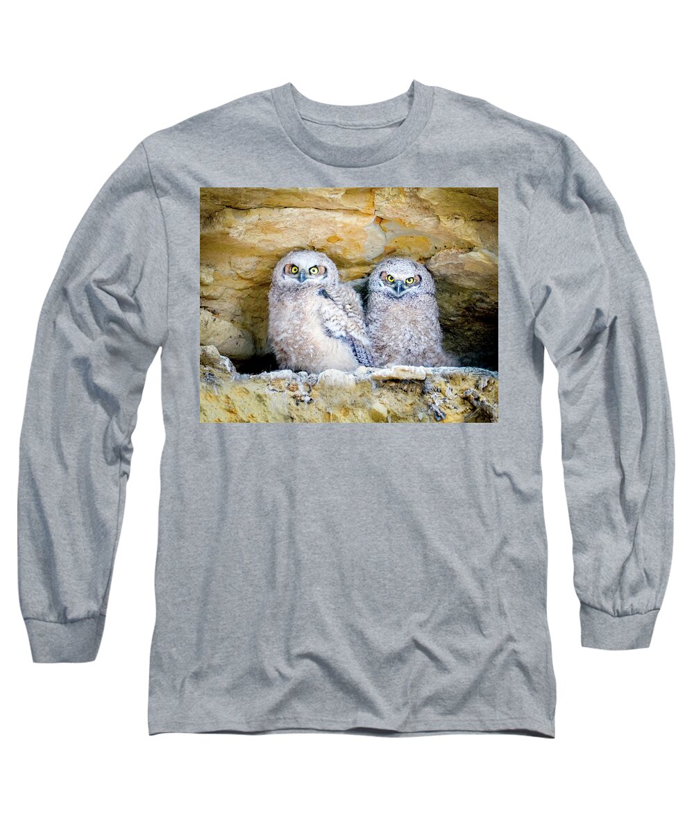 Great Horned Owl Long Sleeve T-Shirt featuring the photograph Great Horned Owl Cliff Nest by Judi Dressler