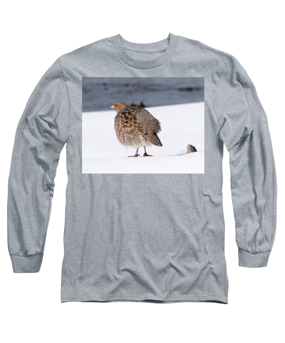 Bird Long Sleeve T-Shirt featuring the photograph Grey Partridge on Henry's Fork by Dennis Hammer