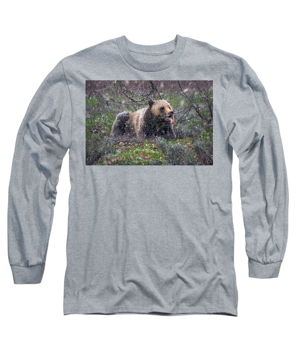 Snowflake Long Sleeve T-Shirt featuring the photograph Grizzly Catching Snowflakes by Michael Ash