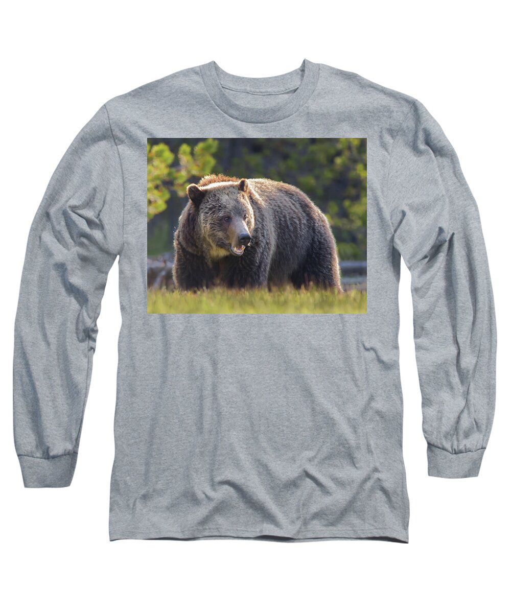 Grizzly Long Sleeve T-Shirt featuring the photograph Grizzly by CR Courson
