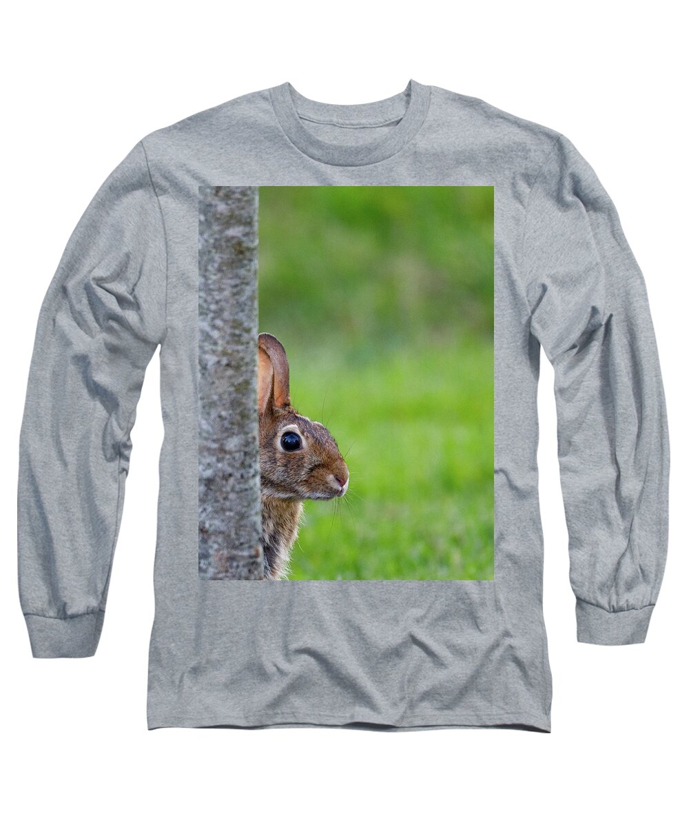 Bunny Long Sleeve T-Shirt featuring the photograph Hare by David Beechum
