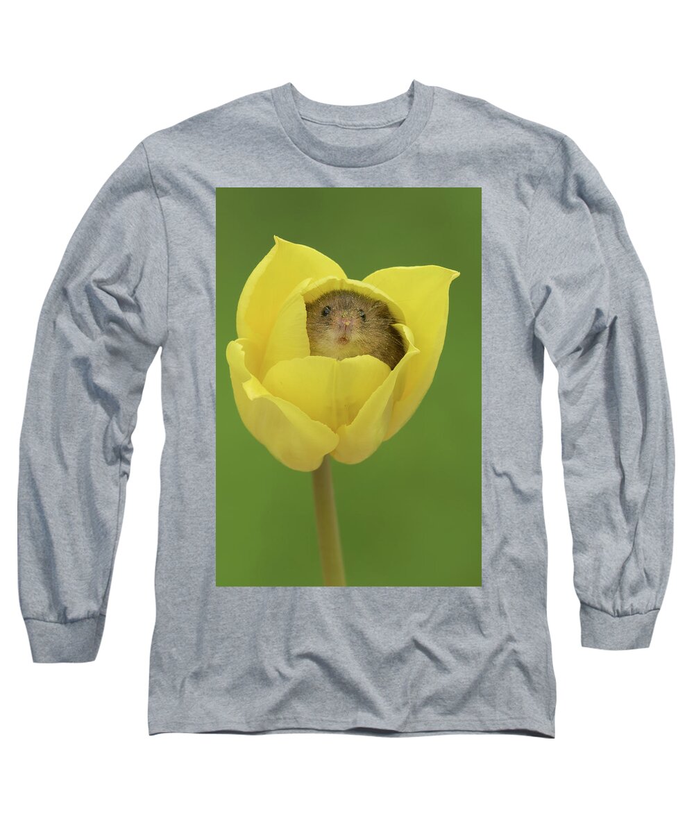 Harvest Long Sleeve T-Shirt featuring the photograph Hm-7623-b by Miles Herbert