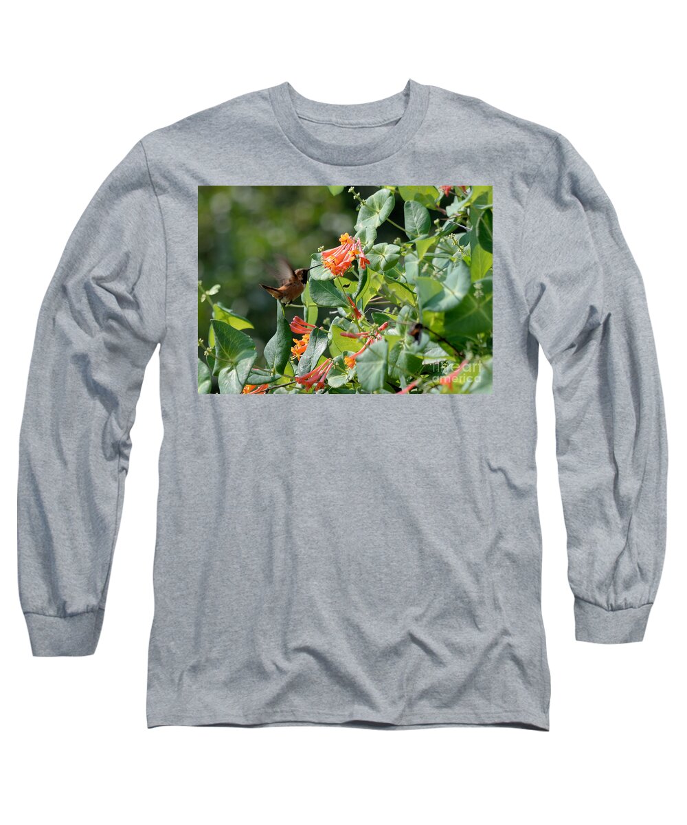 Hummingbird Long Sleeve T-Shirt featuring the photograph Hummer Headed for Lunch by Kae Cheatham
