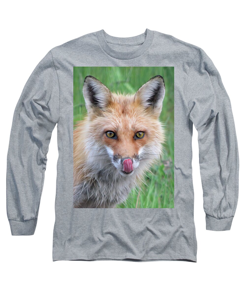Hungry Long Sleeve T-Shirt featuring the photograph Hungry Fox by White Mountain Images