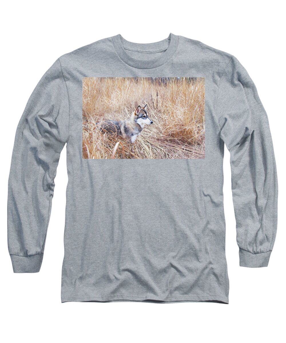 Tamaskan Long Sleeve T-Shirt featuring the photograph Hunting by Karen Varnas