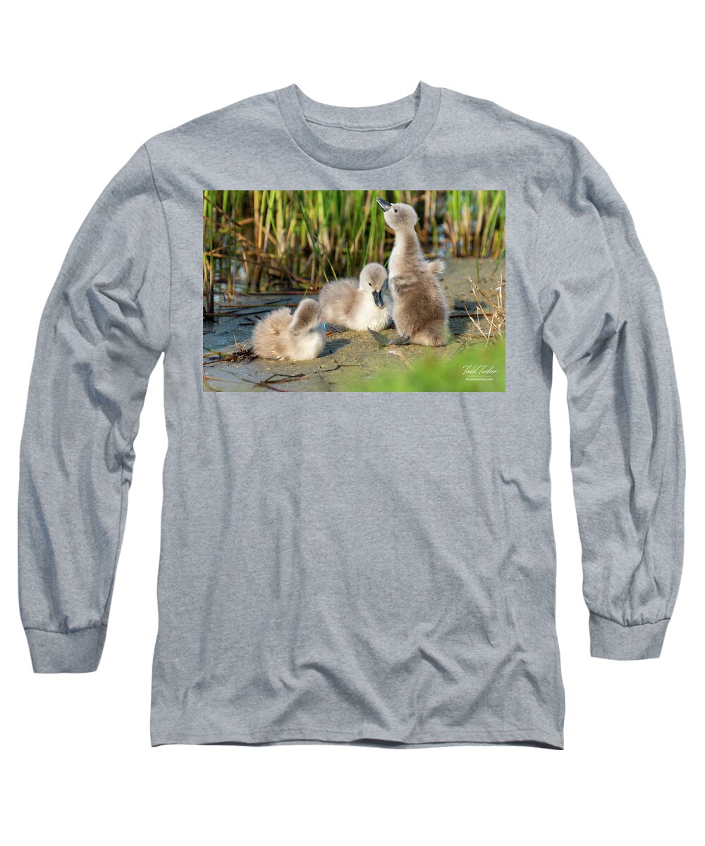Baby Long Sleeve T-Shirt featuring the photograph I Have Wings by Todd Tucker