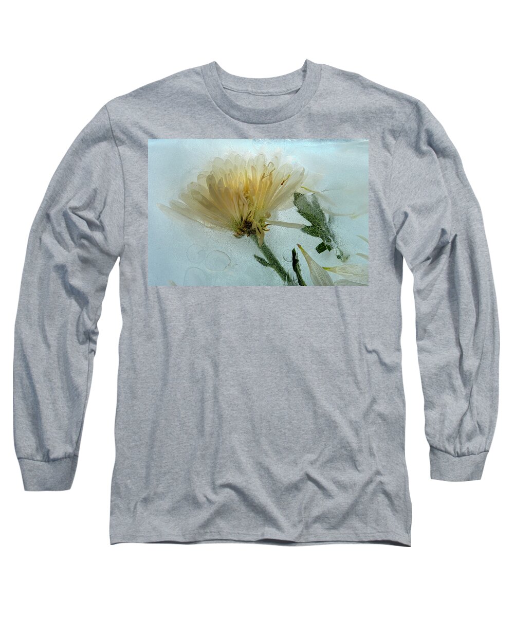 Flora Long Sleeve T-Shirt featuring the photograph Ice Flower Number 1 by Mary Lee Dereske