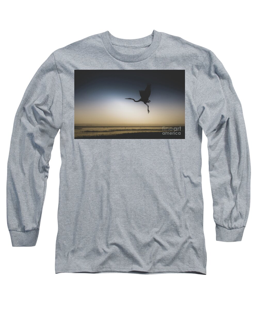 Bird Long Sleeve T-Shirt featuring the photograph In Flight by Dheeraj Mutha