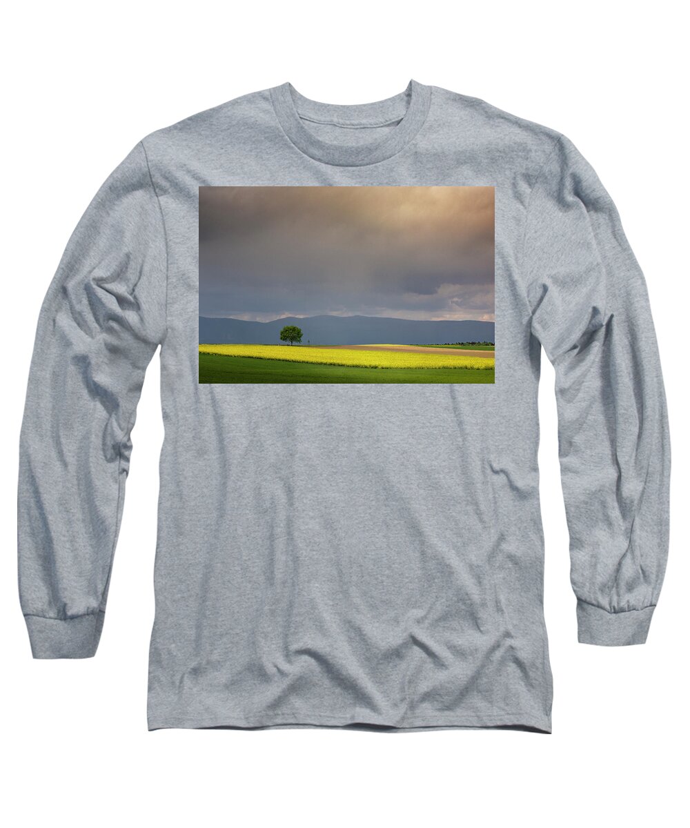 Rapeseed Long Sleeve T-Shirt featuring the photograph In the light of spring by Dominique Dubied