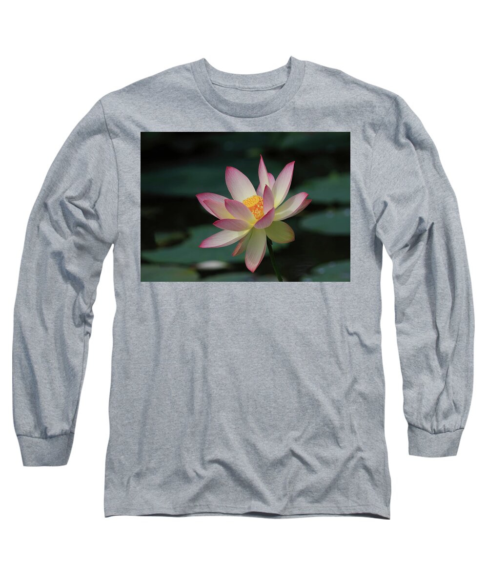 Indian Lotus Long Sleeve T-Shirt featuring the photograph Indian Lotus Flower by Shixing Wen