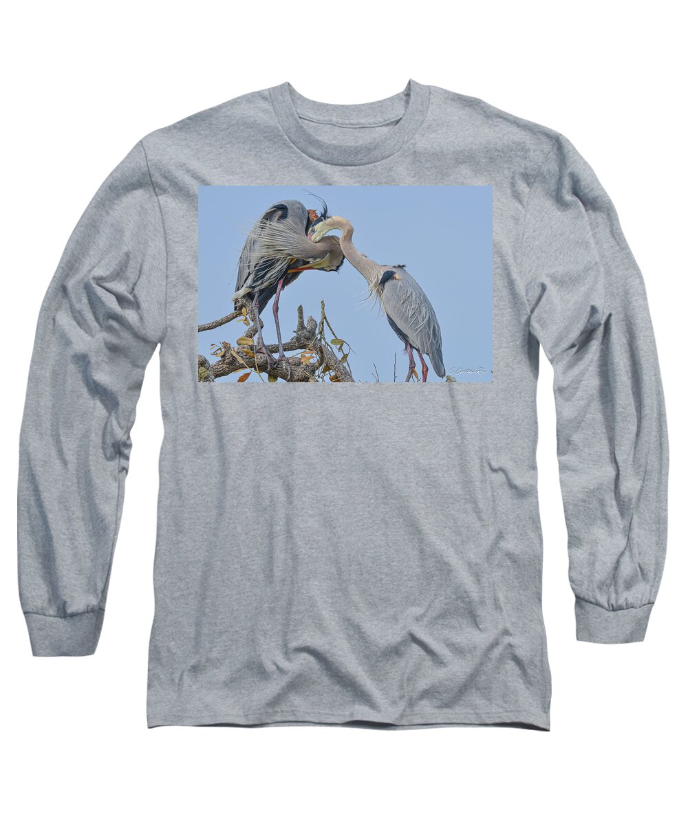Great Long Sleeve T-Shirt featuring the photograph Intertwined by Christopher Rice