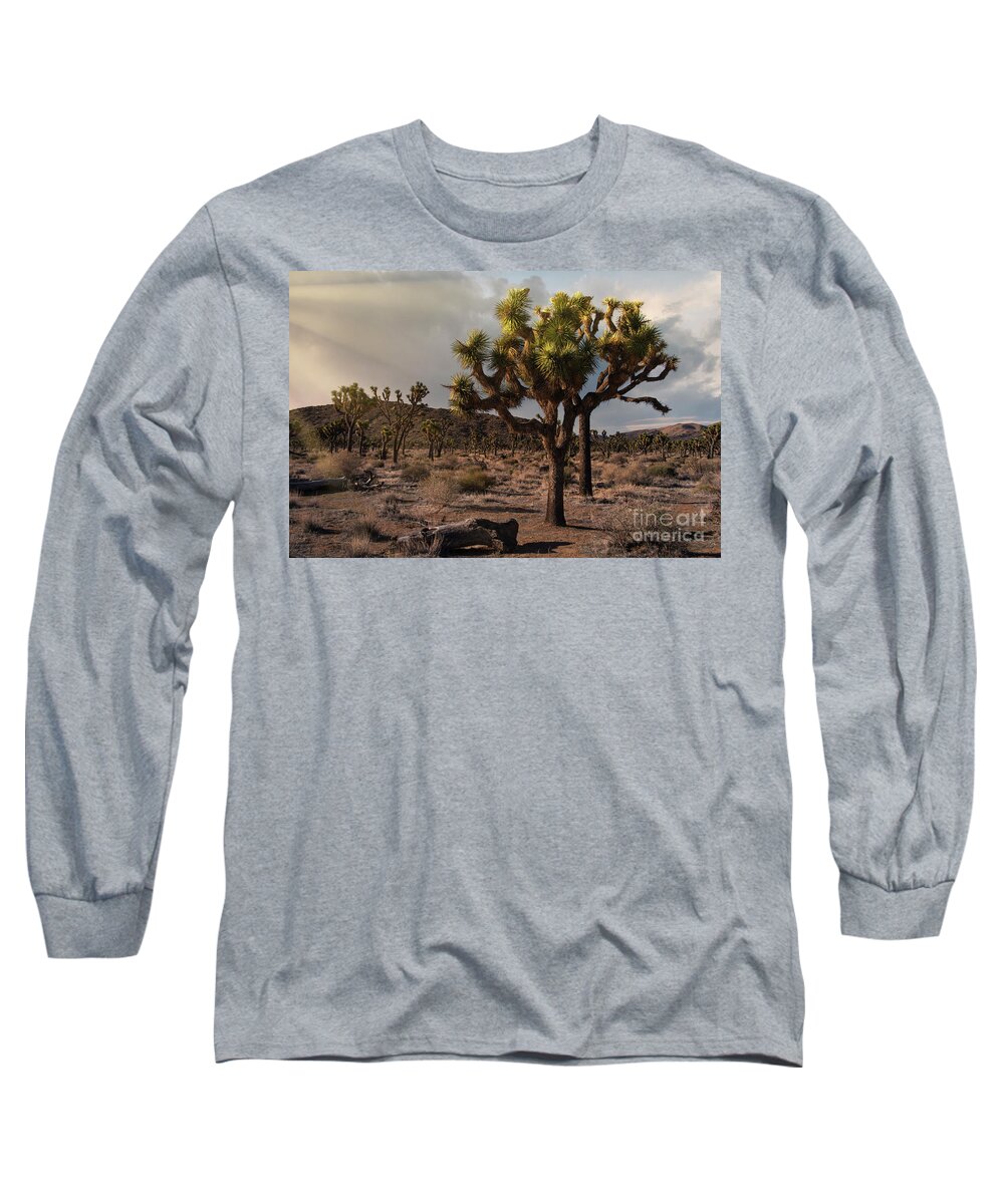 Landscape Long Sleeve T-Shirt featuring the photograph Joshua Tree Sunset by Sandra Bronstein