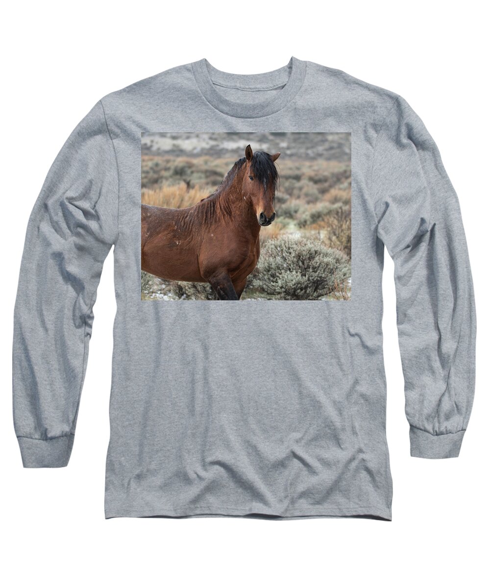 Wild Horses Long Sleeve T-Shirt featuring the photograph Just Handsome by Mary Hone