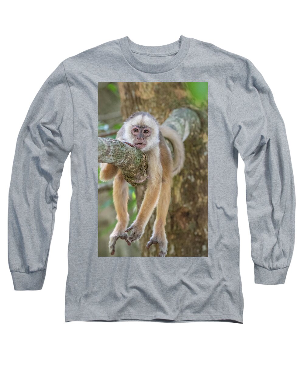 Capuchin Long Sleeve T-Shirt featuring the photograph Just hanging out... by Linda Villers