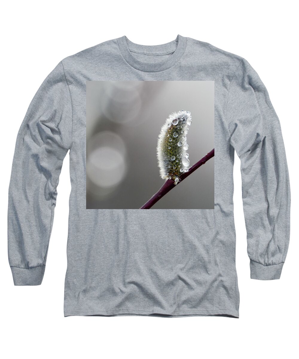 Finland Long Sleeve T-Shirt featuring the photograph Just tears this spring. Willow catkins by Jouko Lehto