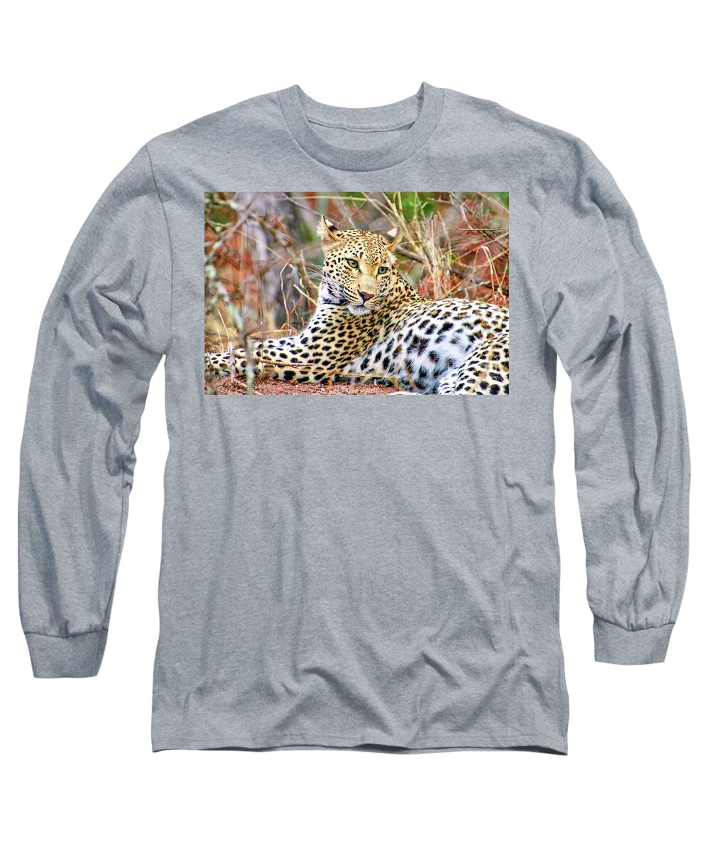 Africa Long Sleeve T-Shirt featuring the photograph Leopard 1 by Tom Watkins PVminer pixs