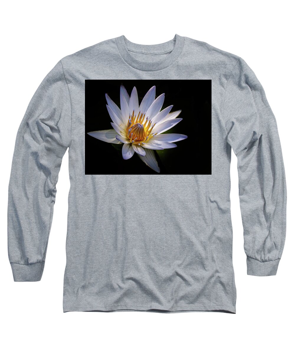 Flower Long Sleeve T-Shirt featuring the photograph Light my life by Les Greenwood