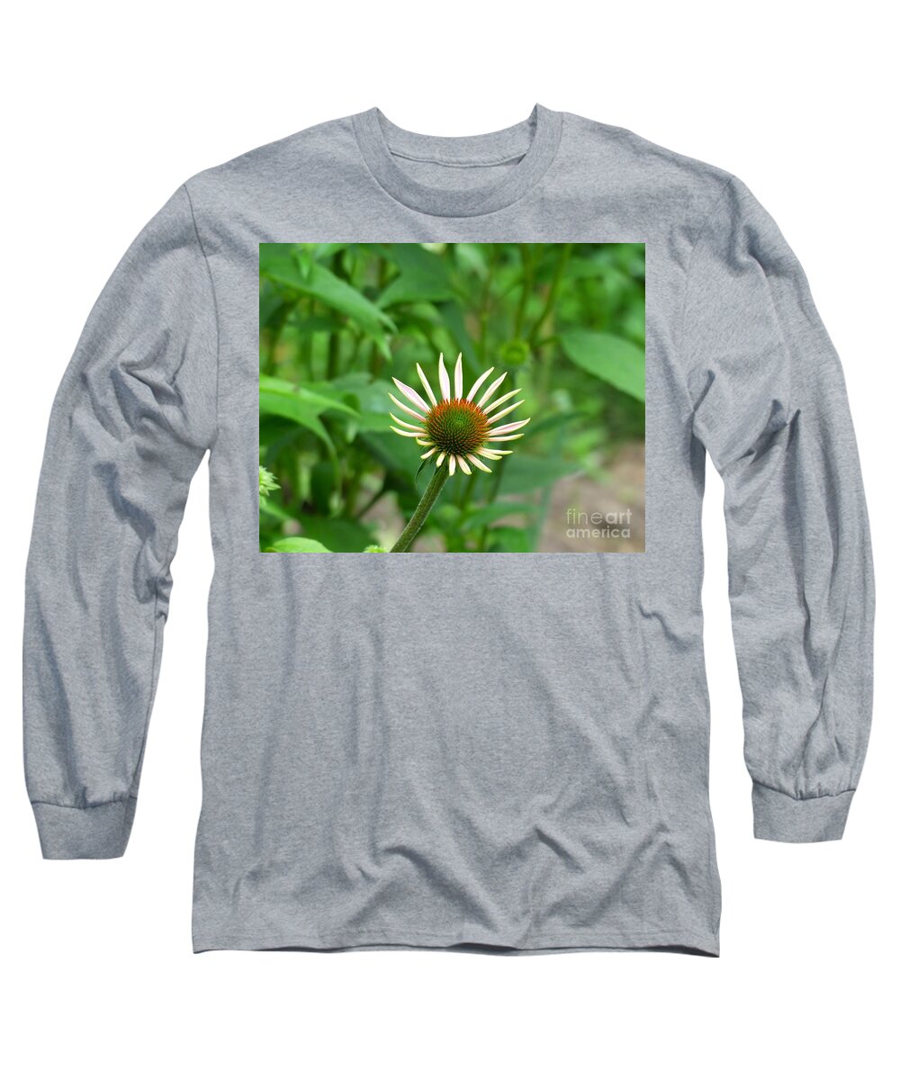 Garden Flower Long Sleeve T-Shirt featuring the photograph Lone Beauty by Rosanne Licciardi