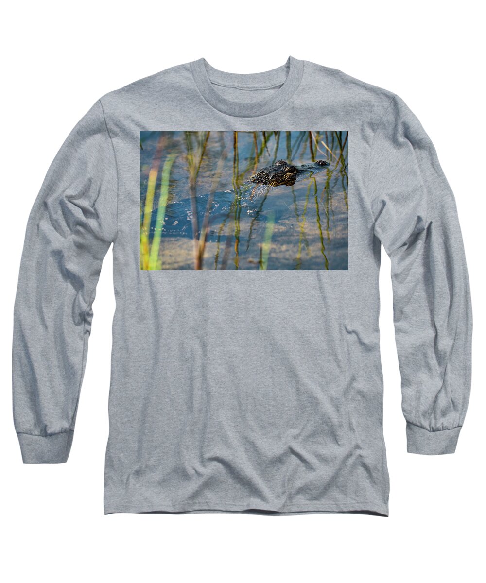 Bird Long Sleeve T-Shirt featuring the photograph Lurking by Todd Tucker