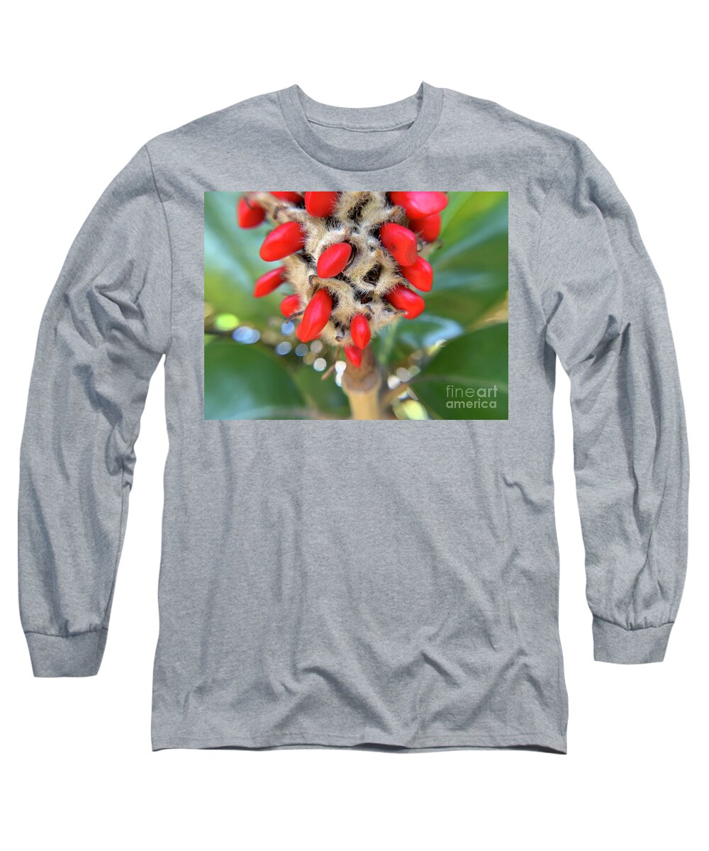 Magnolia Long Sleeve T-Shirt featuring the photograph Magnolia Tree Seeds by Catherine Wilson