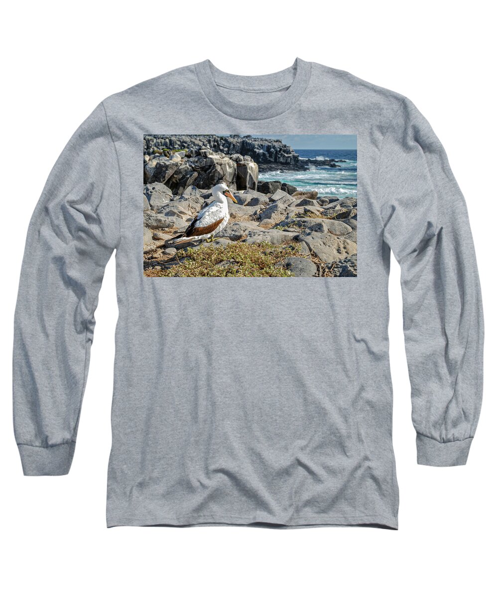 Animals In The Wild Long Sleeve T-Shirt featuring the photograph Nazca Booby sitting on the rocks of Espanola island by Henri Leduc