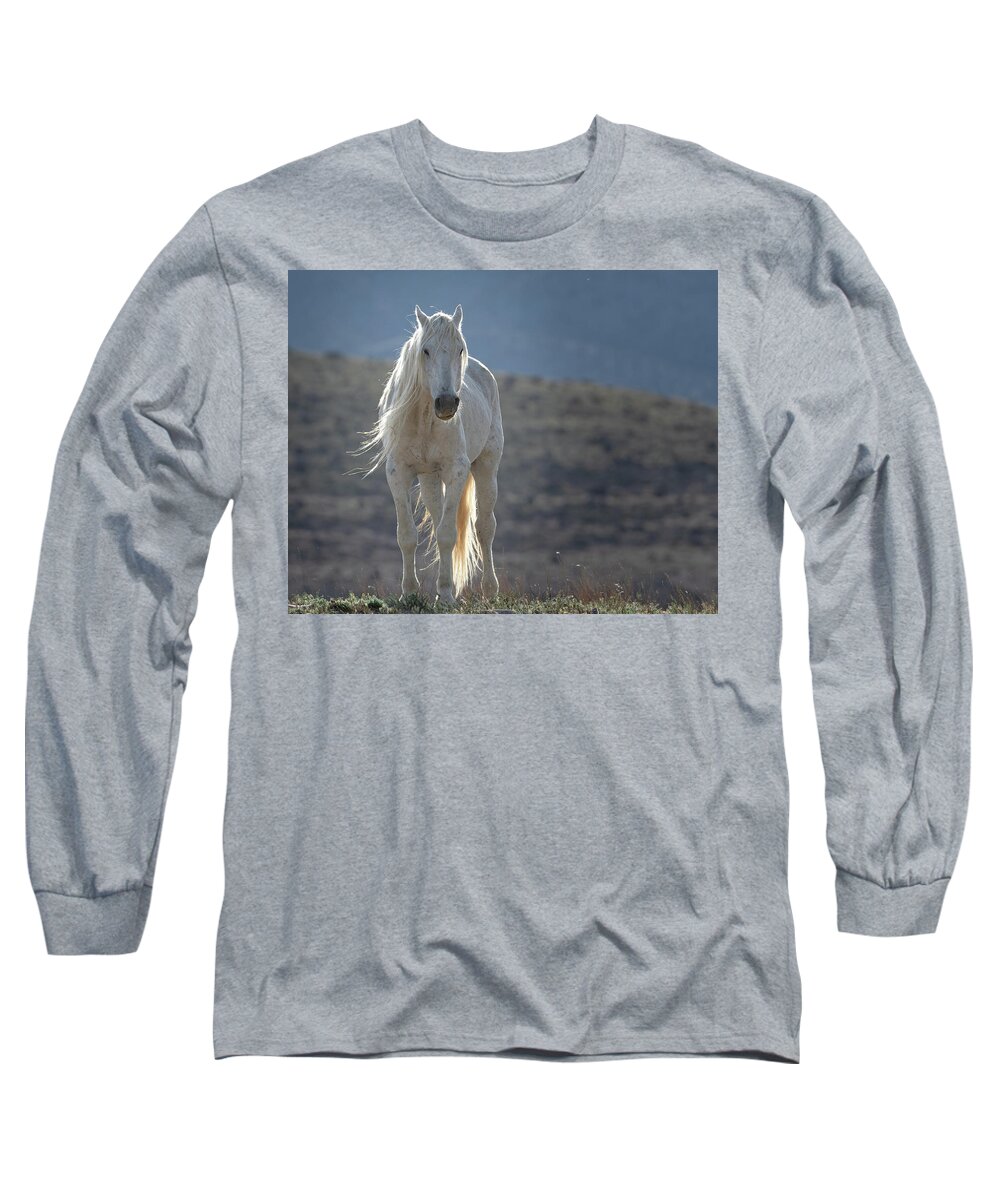 Wild Horses Long Sleeve T-Shirt featuring the photograph Old Man in the Morning by Mary Hone