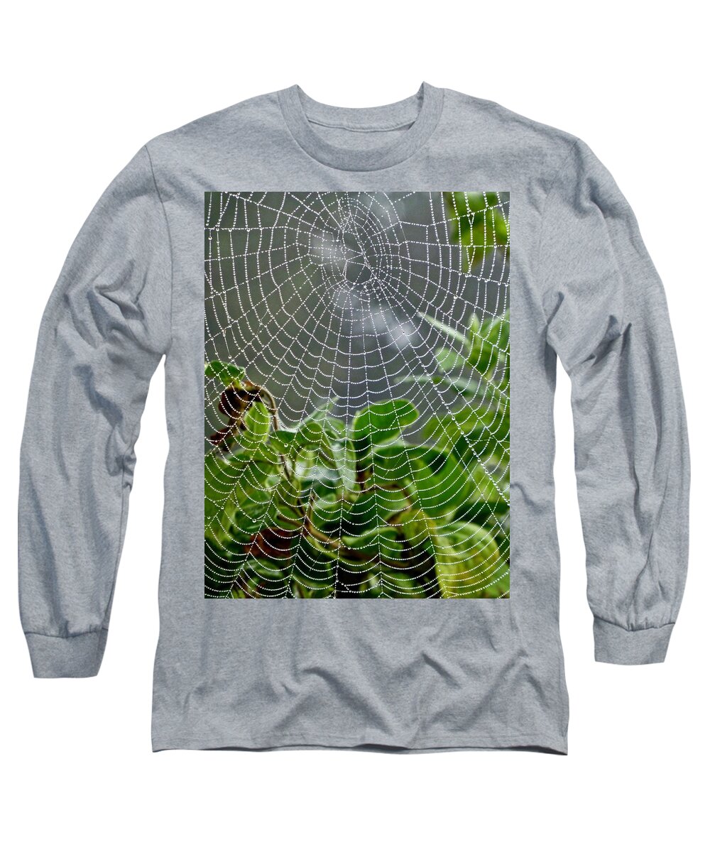 Spiderwebs Long Sleeve T-Shirt featuring the photograph Orb Weaver and Honeysuckle by Amelia Racca
