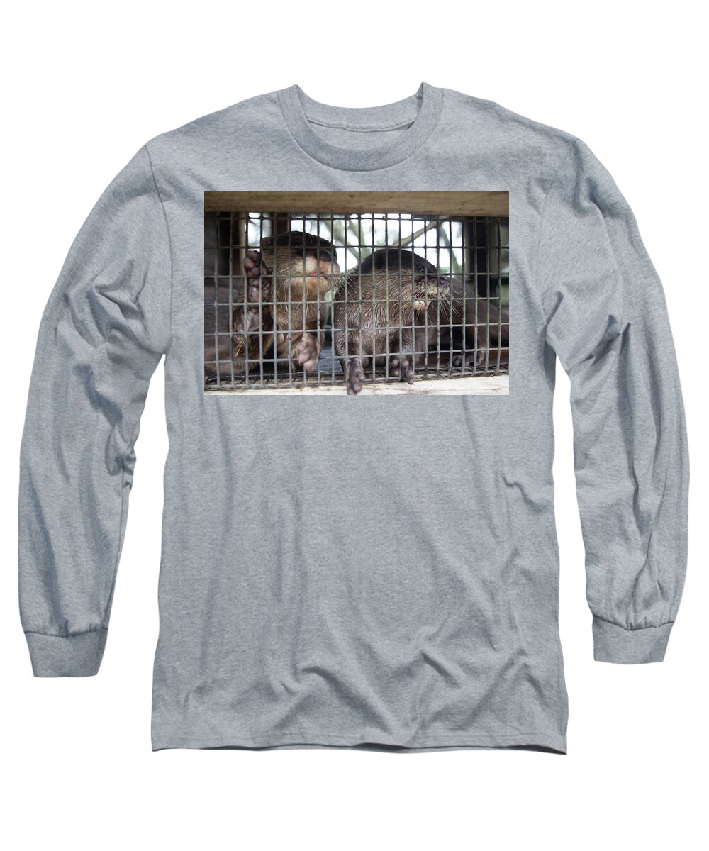 Dade City Long Sleeve T-Shirt featuring the photograph Otter by Dmdcreative Photography
